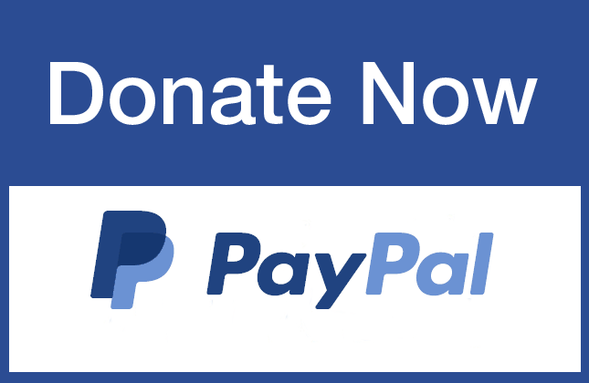 donate-using-paypal