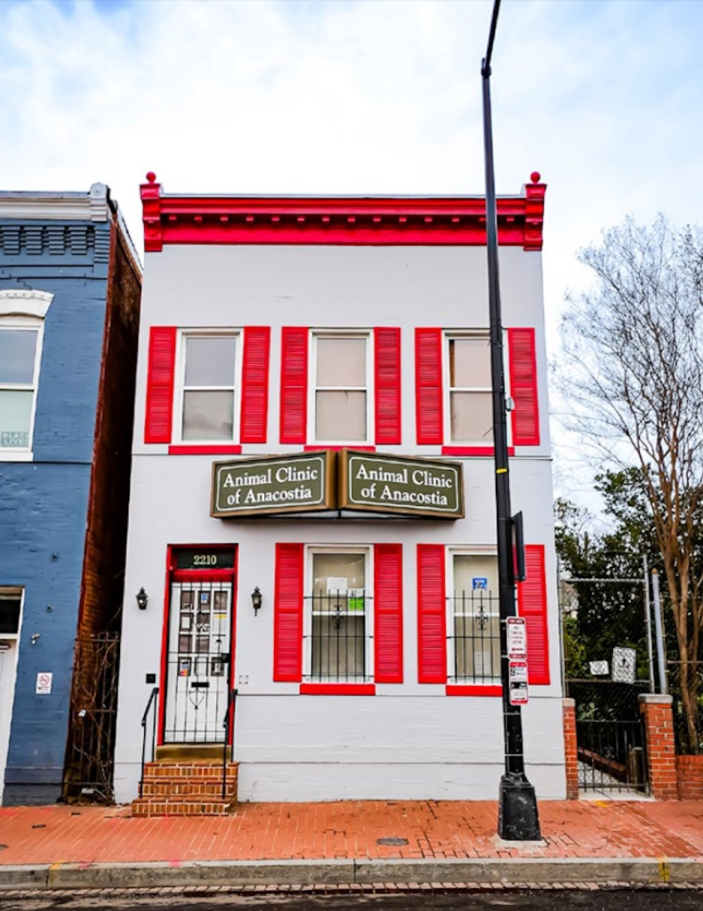 The cover image for the November Newsletter. Shows the red and white Animal Clinic building nextdoor to the Project Create Arts Center.